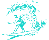 Pro -niveau surfen